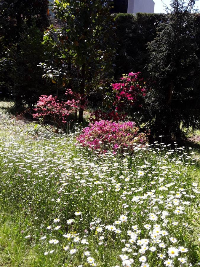Villa Coris Ferienwohnung Magnolia Meran Zewnętrze zdjęcie